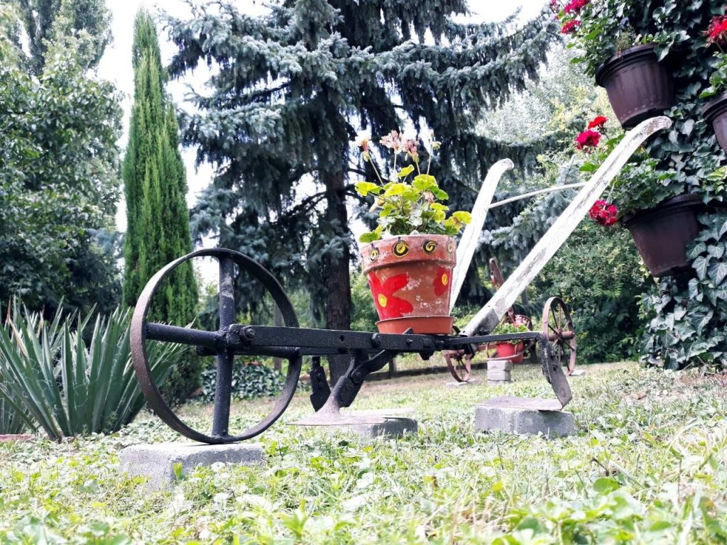 Benéné Szabó Henriett kertje 01